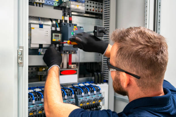 Best Local Electrician Companies  in Cologne, MN
