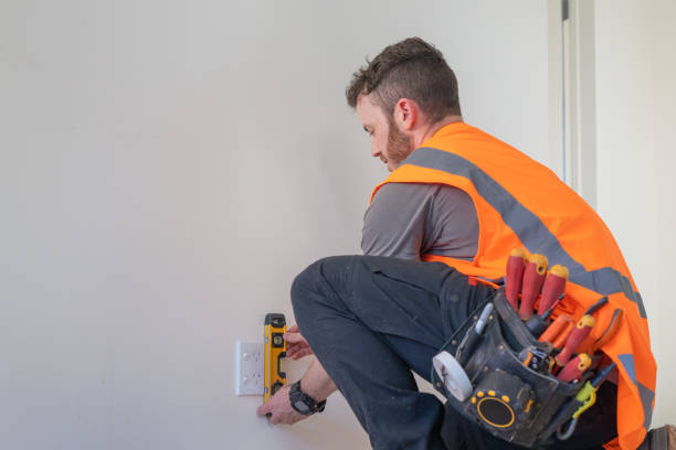 Best Ceiling Fan Installation Electrician  in Cologne, MN