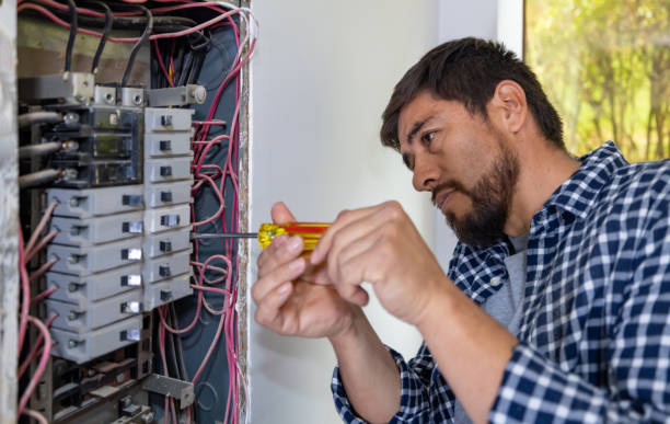 Best Home Electrical Repair  in Cologne, MN